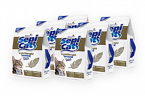 ��� 6 ��' ��� ����� ������� ����� ���� ���� ������� 16 �'