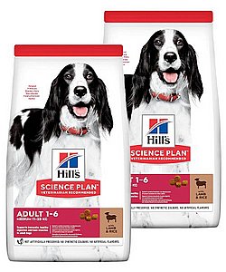 ��� 2 ��' ���� ��� ����� ������ 14 �"�