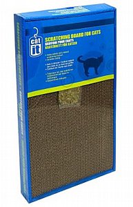 ����� ����� ����� ������ ����� �����