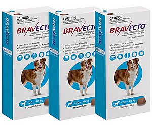 ��� 2 ��' ������ ������ ��� ������� ������� ���� ���� ����� 20-40 �"�