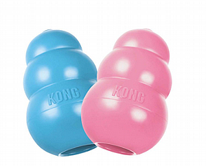 ���� ���� ����� ����� L