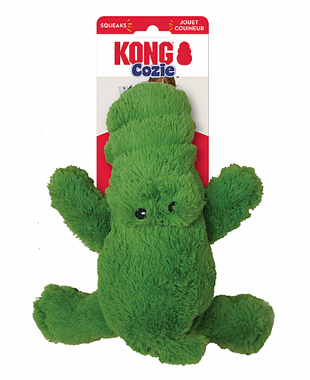 ���� KONG ���� ���� ���� ������ ���� M