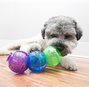 ���� - KONG ��� ��� 3 ����� M