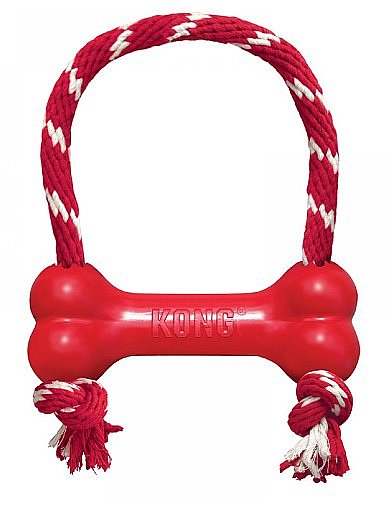 ���� - KONG ��� ���� �� ��� ���� M