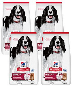 ��� 4 ��' ���� ��� ����� ������ 14 �"� Hills ���� ����� ����� ��� ��� �������*