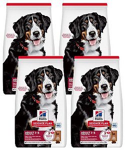 ��� 4 ��' ���� ��� ���� ��� ���� 14 �"� Hills ���� ����� ����� ��� ��� ������ ��������*