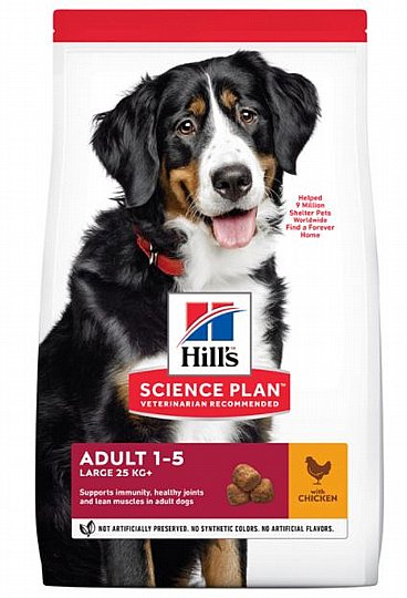 ���� ����� ���� ���� ������ ���� ���� ��� 14  �"�