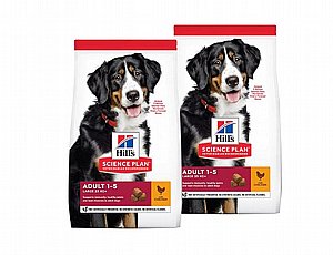 הילס לכלבים מגזע גדול עוף 14 ק"ג הילס לכלבים מגזע גדול עוף 14 ק"ג