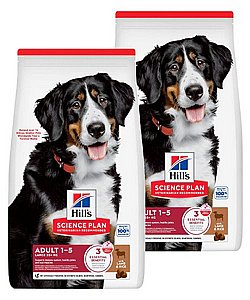 ��� 2 ��' ���� ��� ���� ��� ���� 14 �"� Hills ���� ����� ����� ��� ��� ������ ��������*