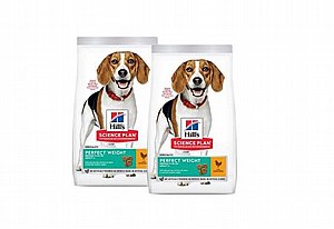 ��� 2 ��' ���� ����� ���� ��� ������ ���� 12 �"�