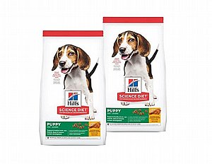 דיל 2 יח' הילס גורים גזע בינוני 14 ק"ג עוף דיל 2 יח' הילס גורים גזע בינוני 14 ק"ג עוף