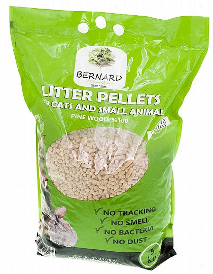 ��� 5 �� ��� ���� �� �������� 5 �"� BERNARD 