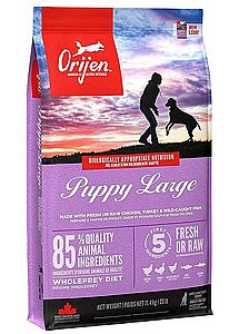 מזון לכלב גור מגזע גדול ללא דגנים אוריג'ן 11.4 ק"ג מזון לכלב גור מגזע גדול ללא דגנים אוריג'ן 11.4 ק"ג