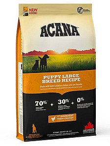 ���� ����� ����� ���� ���� ��� ����� ����� 17 �"�