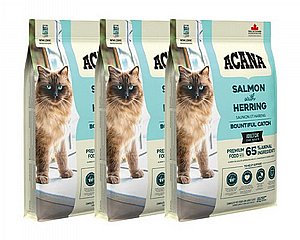 ��� 2 ��' ����� ����� ����� ����� ����� ������ 4.5 �"� 