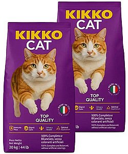 ���� �� ���� ��� ����� ���� ��� 20 �"�