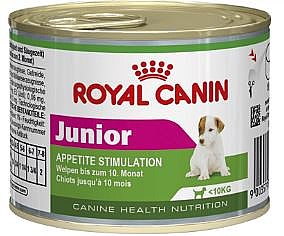 ���� ����� ����� ���� ��� ����� ���� ���� �'����� 195 ��'