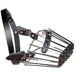 ����� ���� ���� ����� - DINGO ����� �����