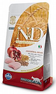 11���� ����� ���� ����� ����� ��� ����� ����� ����� 10 �"�