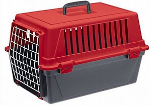 ���� ����� ����/���� ������ ���� 10 ���� 48 �"� 