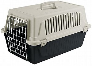 ���� ����� ����/���� ������ ���� 20 ���� 58 �"� 