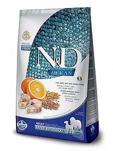 ����� ����� ���� �� ��� ������� ���� ������ �������� ������� 12 �"�