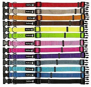 קולר קליפס לכלב מידה XS רוחב 10 מ"מ מגוון צבעים PETS-PROJECT קולר קליפס לכלב מידה XS רוחב 10 מ"מ מגוון צבעים PETS-PROJECT