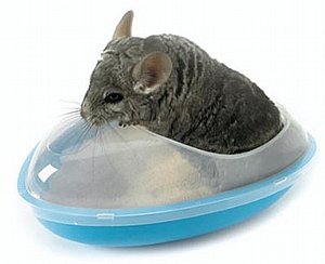 ������ ��'���'��� ���� ����� ���� 35 �"�