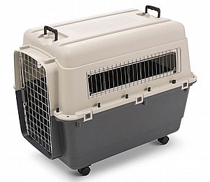 ���� ���� + ������ ���� ���� ���� 5 ���� 80 �"�