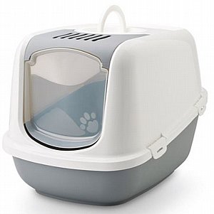 ������� ������ ������ ����� ���� ����� �'��� ���� 66.5 �"� 