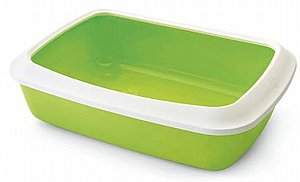 ������� ������ ����� ���� ����� ��� �����