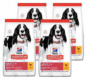 דיל 2 יח' הילס לכלבים עוף גזע בינוני 14 ק"ג Hills אזור חלוקה מוגבל ללא כפל קופונים דיל 2 יח' הילס לכלבים עוף גזע בינוני 14 ק"ג Hills אזור חלוקה מוגבל ללא כפל קופונים