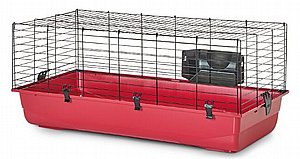 ���� ������� ������� ���� ������ ����� �����