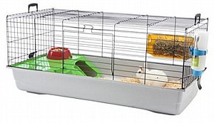 ���� ������� ������� ���� ������ ���� 100 �"�