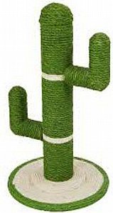 ���� ����� �����