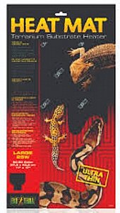 ���� ����� ������� ��� ������� ������ �����