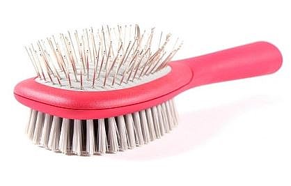 ����� �� ����� ���� �� ���� - LE SALON ���� S