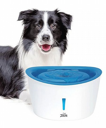 ����� ��� ���� �� ����� DOGIT  ���� 6 ����