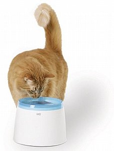 ����� ��� ����� �� ����� ����� 2 ����