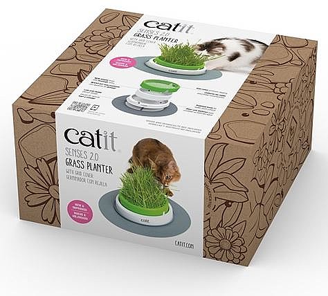 ��� ���� ������� ����� ����� �� ���� ����� CATIT