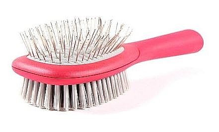 ����� �� ����� ����� �� ���� - LE SALON 