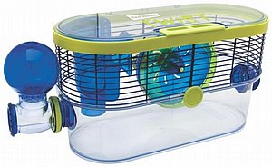 ���� ������ ��� ���� ��� ��������