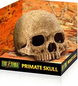 ������� ������� ����� ������ ������ �������