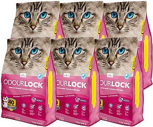 ��� 3 ��' ��� ����� ����� ����� ��� �� ����� 12 �"� ���� ����� ����� ��� ��� ������ ��������