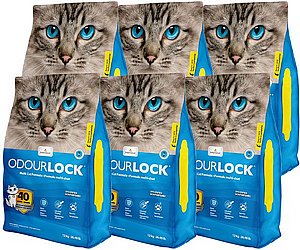 ��� 3 ��' ��� ����� ����� ����� ���  12 �"� ���� ����� ����� ��� ��� ������ ��������