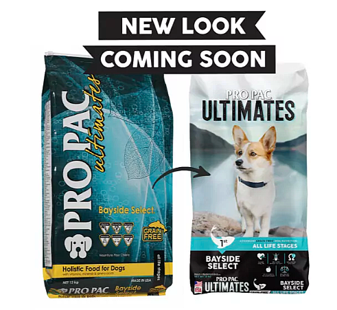����� ���� ��� ����� ���� 12 �"� 