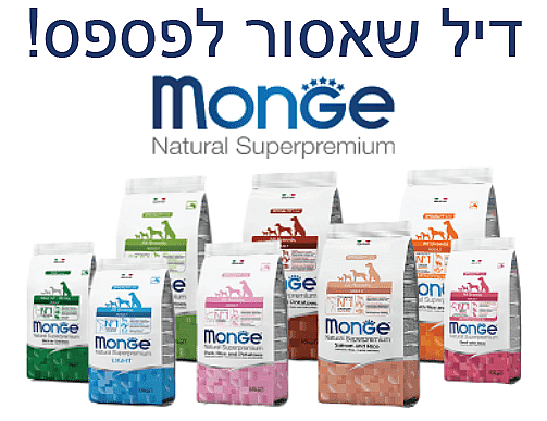 ��� 5 �� ���� ���� ����� ������ 12 ��� ���� MONGE