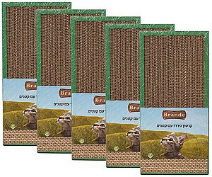 ��� 5 ��' ������ ����� ����� ������ ����� 