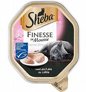 ���� ���� ����� ��� ��� ������� 85 ��'