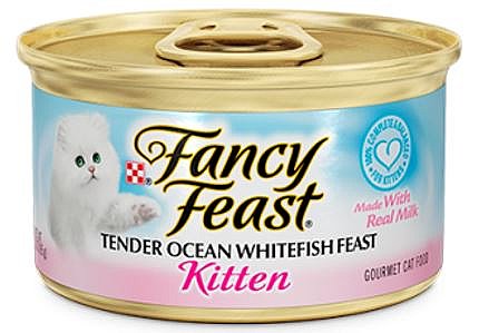 ���� ����� ����� ����� ����� ���� ���� ���� �� �������� 85 ��